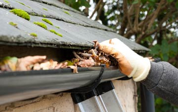 gutter cleaning Newtonia, Cheshire