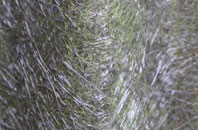 Newtonia fibreglass roof work